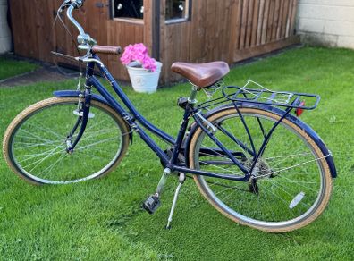 Adult Bike