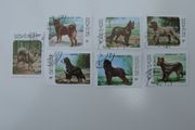 Set of Laos Stamps featuring Dogs