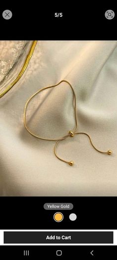 Anklet/ Braclet