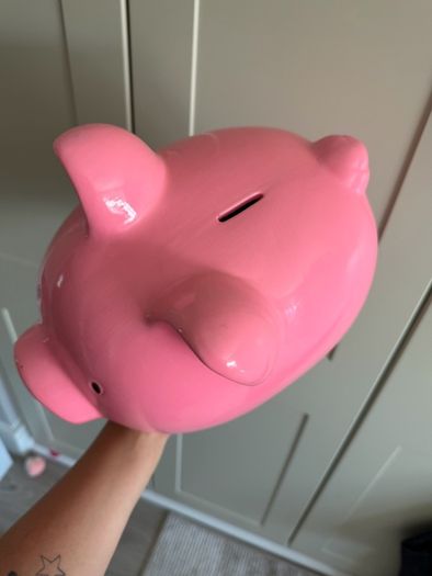 Large piggy bank