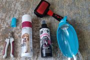 dog accessories