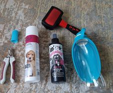 dog accessories