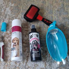 dog accessories