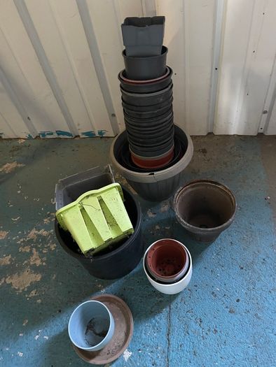 Pot