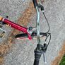 Kids bike Raleigh Pop. Cycle for boys, bike for girls Image 4