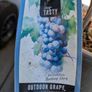 Red grape vines x3 Image 4