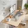 Electric Standing Desk 100x60cm with Cable Tray, Hook and Storage Pocketse Image 3