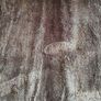 Rug Image 2