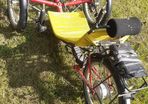 Electric Trike