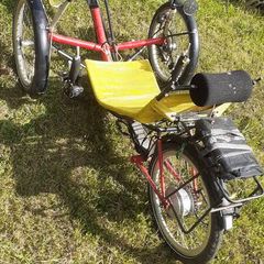 Electric Trike