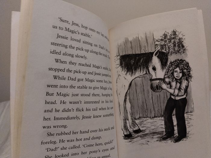 A Pony Called Magic Children,s Story Book