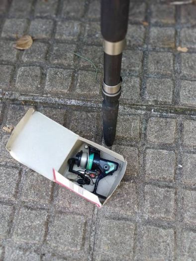 Fishing Rod & Reel