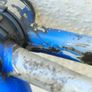 Colnago Master Olympic Image 10
