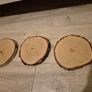 3 natural wood slices,  varnished Image 5