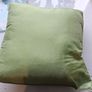 Cushion Image 2