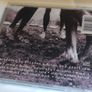 Pearl Jam Vs. Cd Image 3