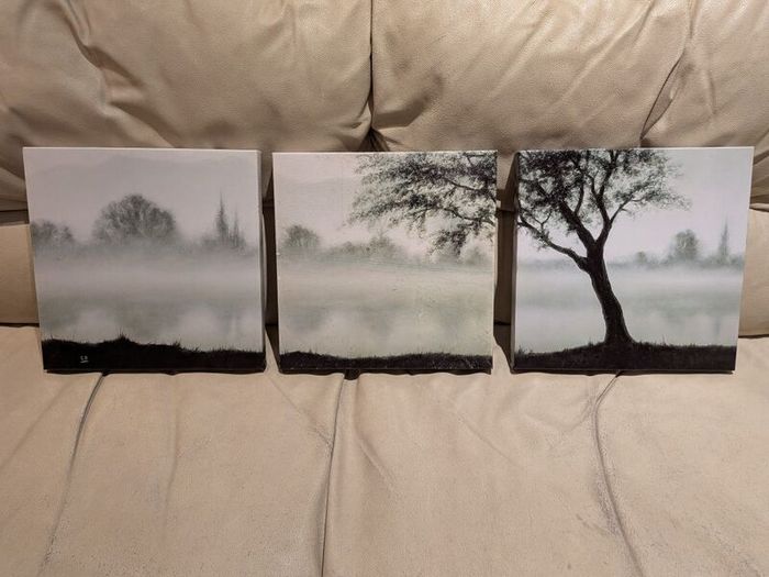 Trio of Canvas Prints