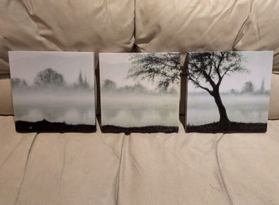 Trio of Canvas Prints