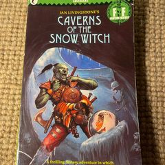 Caverns of the Snow Witch (Fighting Fantasy #9)