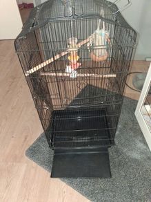 bird cage