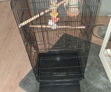 bird cage