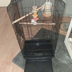 bird cage