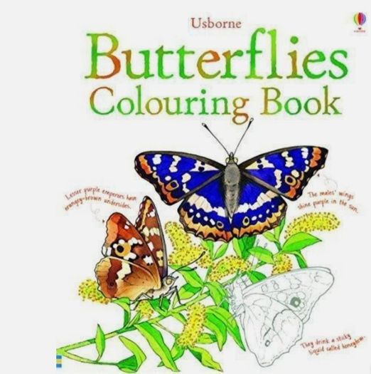Children's Art Books (6)