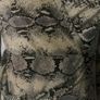 Boohoo snake skin mini dress long sleeves size UK8/10 Postage included Image 3