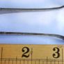 Silver Plated Sugar Tong Image 7