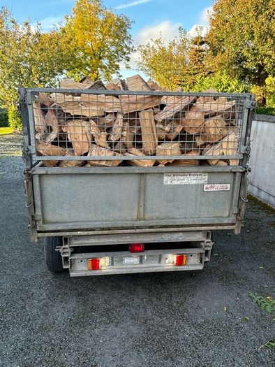 Firewood logs
