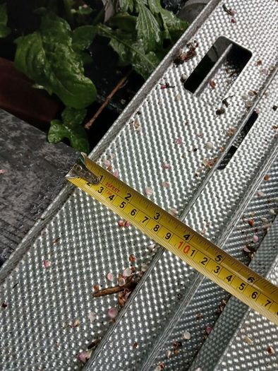 Decking/ shed steel joists