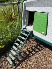 Chicken coop Omlet Eglu Cube Chicken Coop