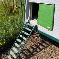 Chicken coop Omlet Eglu Cube Chicken Coop