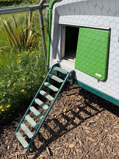 Chicken coop Omlet Eglu Cube Chicken Coop
