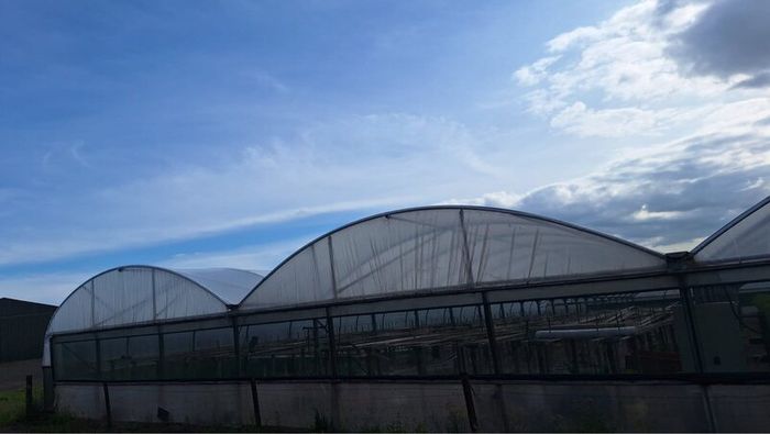 Polytunnel