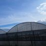Polytunnel Image 2