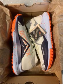 Nike Pegasus Trail 4 Gtx V2 New Uk7.5
