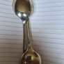 Desert Spoons Image 4