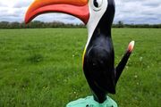 Large  Guinness  toucan