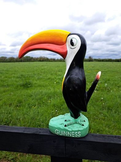 Large  Guinness  toucan
