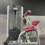 Back extension machine Image 2