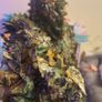 Ghillie Suite for kids Image 2