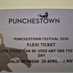 4 x Flexi Tickets to Punchestown Races