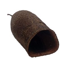 Trompet pods 9cm 5 pieces