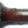 J. Purcell Vintage Irish Smoking Pipe, good condition Image 6